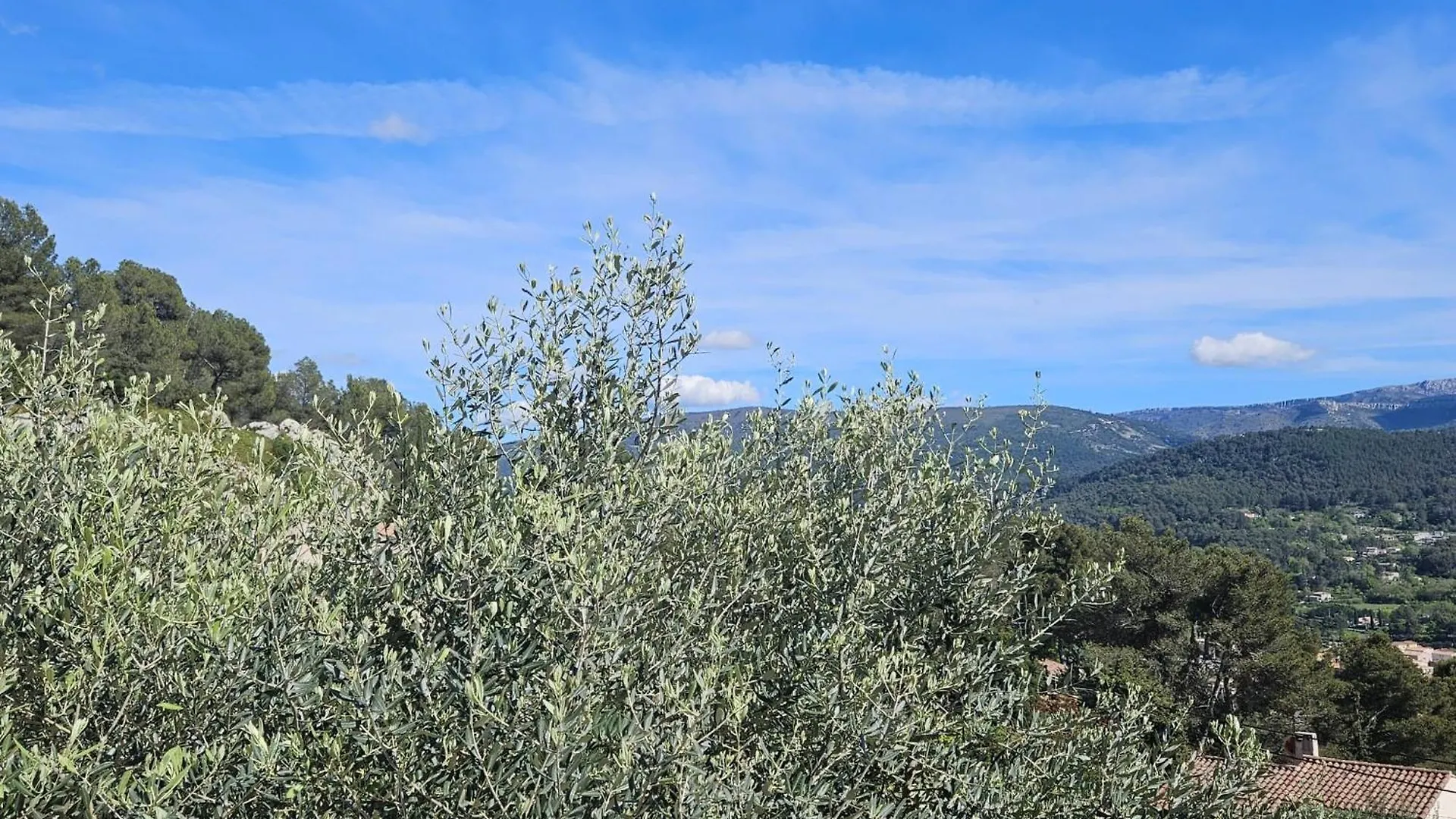Le Micocoulier Apartment Auriol France